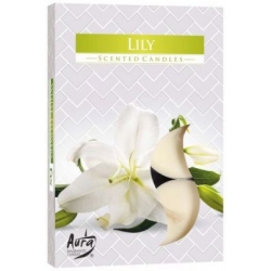 Podgrzewacz zapachowy 6 szt.