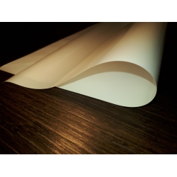 Arkusz perłowy 50/50cm