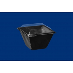 Pojemnik CARPOT doniczka 750ml