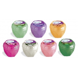 Deo fresh odświeżacz powietrza w żelu