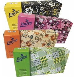 Linteo chusteczki higieniczne w kartoniku 100szt.