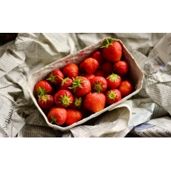 Opakowanie kartonowe do owoców 250g